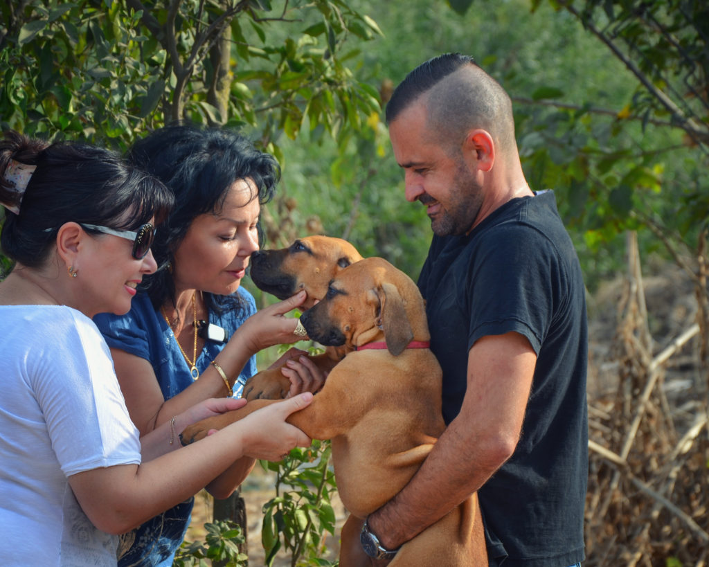 meeting the puppies before they come home is really important!